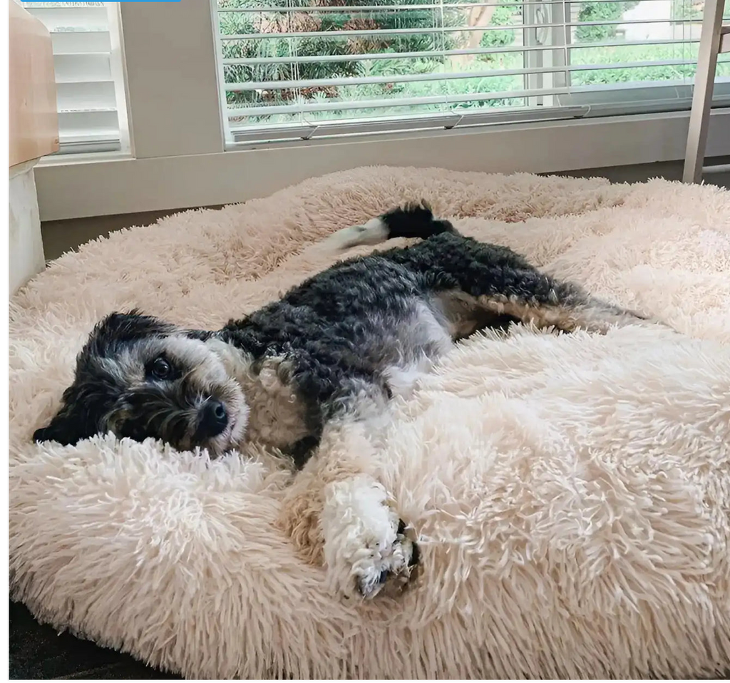 Cuccia Comfort Anti-Ansia™ - Sfoderabile, Calda e Lavabile in Lavatrice