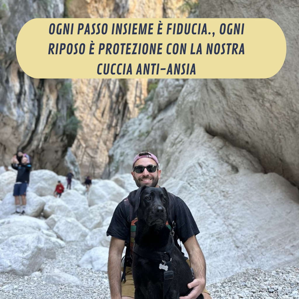 Cuccia Comfort Anti-Ansia™ - Sfoderabile, Calda e Lavabile in Lavatrice